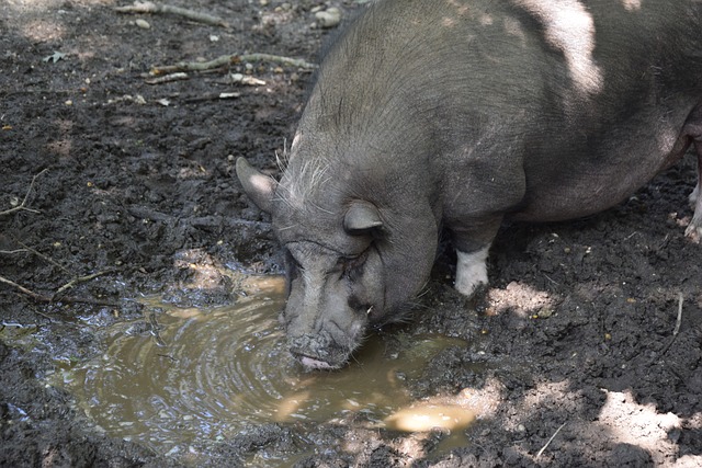 力的均衡分 力的均衡分