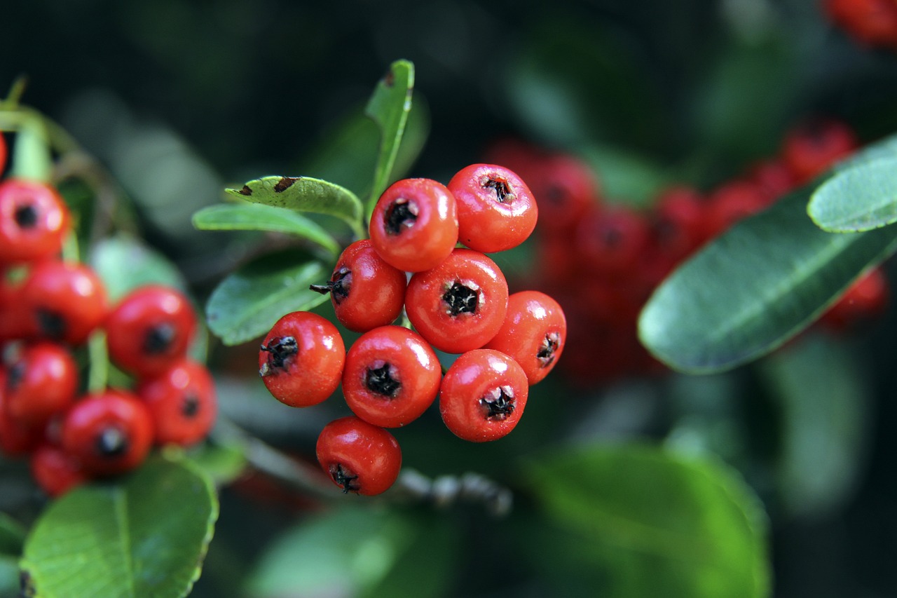 关键要素 关键要素