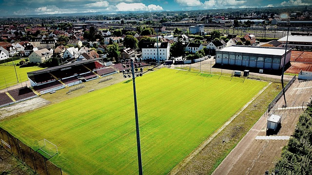 媒体以及球 媒体以及球