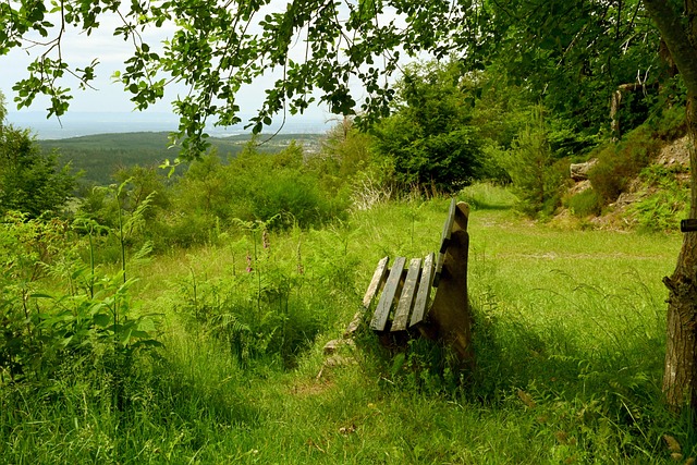 队本身来说 队本身来说