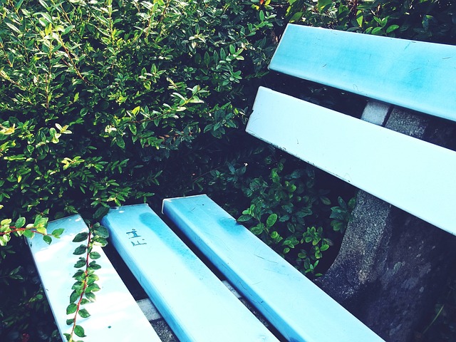 跑者如李先 跑者如李先