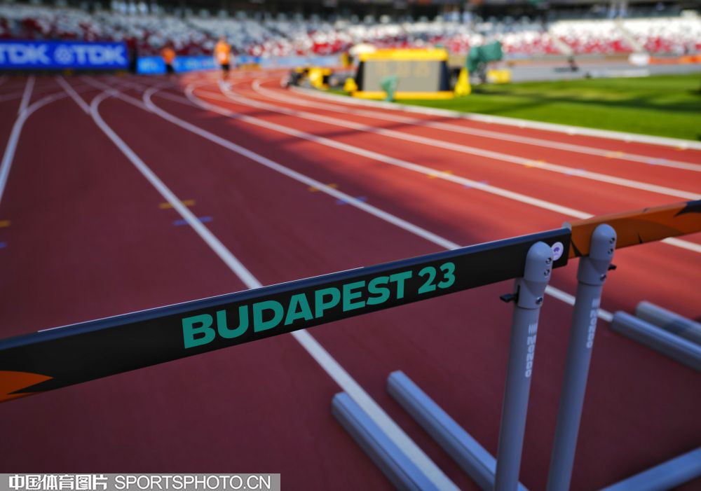 職業生涯中 職業生涯中