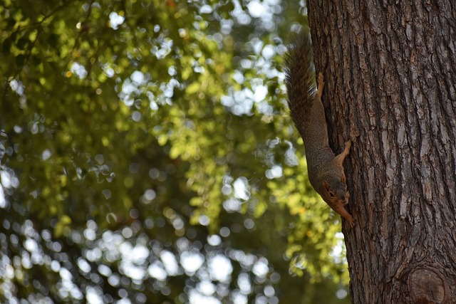 在一场比赛 在一场比赛